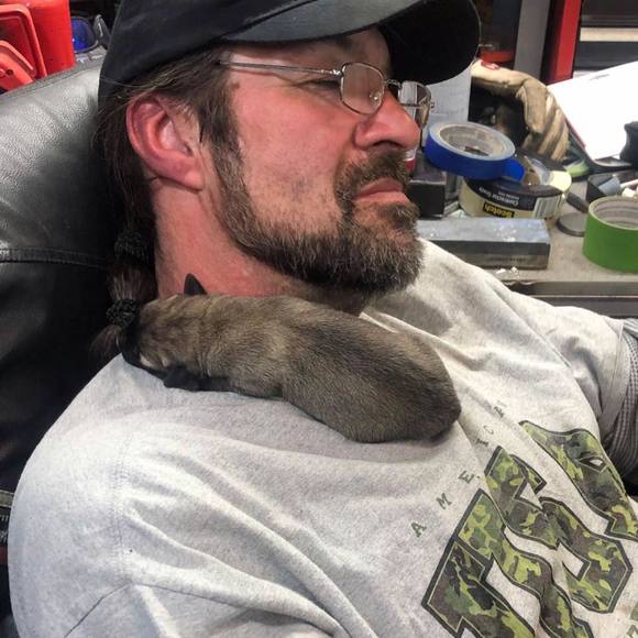 Meet your Posher, Dave - Picture 1 of 1